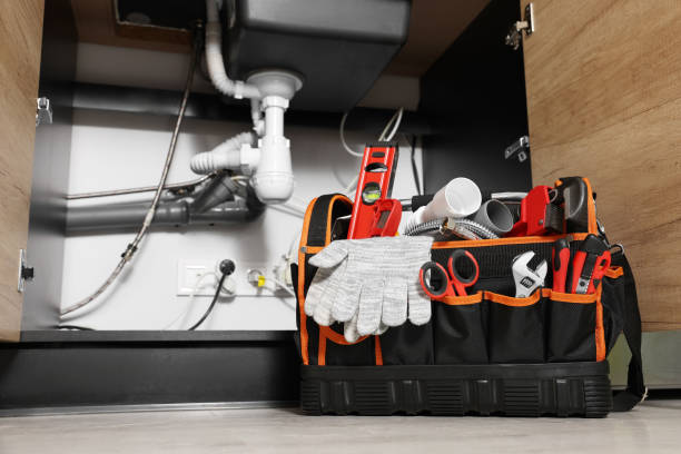 Best Residential Plumbing Services  in Tiptonville, TN
